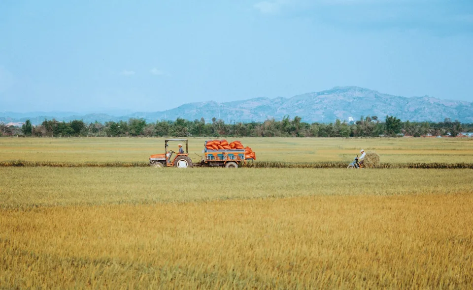Kho gạo của Trương Thị Nguyệt